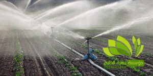 تنسيق حدائق,تنسيق حدائق نجيل,افضل شركة تنسيق حدائق,تنسيق حدائق رسم هندسي,تصميم وتنسيق حدائق,بستنة وتنسيق حدائق,زراعة وتنسيق حدائق,مشاتل وتنسيق حدائق,شلالات وتنسيق حدائق,ديكورات وتنسيق حدائق,لاند سكيب وتنسيق حدائق,عشب صناعي وتنسيق حدائق,تصميم شلالات وتنسيق حدائق,تنسق حدائق الدمام,تنسيق حدائق منزلية,محل تنسيق حدائق في جدة ومكة,محلات تنسيق حدائق جدة ومكة,فني وتنسيق الحدائق,تنسيق حدائق جدة,محلات تنسيق حدائق جدة ومكة,محل تنسيق حدائق في جدة ومكة,شركة تنسيق حدائق,تنسيق حدائق الرياض,تنسيق حدائق,شركة تنسيق حدائق بالرياض,تنسيق حدائق منزلية,حدائق,شركة تنسيق حدائق,تنسيق حدائق في الرياض,تنسيق حدائق الرياض الرياض,تنسيق حدائق بالرياض,الرياض,افضل شركة تنسيق حدائق بالرياض,تنسيق,منسق حدائق الرياض,تنسيق حدائق الخبر,تنسيق حدائق الدمام,تنسيق حدائق ابها,تنسيق حدائق السعودية,تنسيق الحدائق,تنسيق حدائق فلل,تصميم حدائق الرياض,افكار تنسيق حدائق,تنسيق حدائق نجران,تنسيق حدائق بنجران,افضل شركة تنسيق حدائق,تنسيق حدائق خميس مشيط,تنسيق حدائق خميس,تنسيق حدائق خميس مشيط وابها,تنسيق حدائق ابها وخميس مشيط,شركه تنسيق حدائق خميس مشيط,شركة تنسيق حد