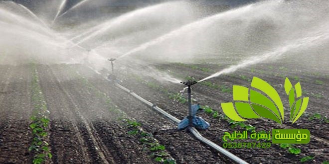 تنسيق حدائق,تنسيق حدائق نجيل,افضل شركة تنسيق حدائق,تنسيق حدائق رسم هندسي,تصميم وتنسيق حدائق,بستنة وتنسيق حدائق,زراعة وتنسيق حدائق,مشاتل وتنسيق حدائق,شلالات وتنسيق حدائق,ديكورات وتنسيق حدائق,لاند سكيب وتنسيق حدائق,عشب صناعي وتنسيق حدائق,تصميم شلالات وتنسيق حدائق,تنسق حدائق الدمام,تنسيق حدائق منزلية,محل تنسيق حدائق في جدة ومكة,محلات تنسيق حدائق جدة ومكة,فني وتنسيق الحدائق,تنسيق حدائق جدة,محلات تنسيق حدائق جدة ومكة,محل تنسيق حدائق في جدة ومكة,شركة تنسيق حدائق,تنسيق حدائق الرياض,تنسيق حدائق,شركة تنسيق حدائق بالرياض,تنسيق حدائق منزلية,حدائق,شركة تنسيق حدائق,تنسيق حدائق في الرياض,تنسيق حدائق الرياض الرياض,تنسيق حدائق بالرياض,الرياض,افضل شركة تنسيق حدائق بالرياض,تنسيق,منسق حدائق الرياض,تنسيق حدائق الخبر,تنسيق حدائق الدمام,تنسيق حدائق ابها,تنسيق حدائق السعودية,تنسيق الحدائق,تنسيق حدائق فلل,تصميم حدائق الرياض,افكار تنسيق حدائق,تنسيق حدائق نجران,تنسيق حدائق بنجران,افضل شركة تنسيق حدائق,تنسيق حدائق خميس مشيط,تنسيق حدائق خميس,تنسيق حدائق خميس مشيط وابها,تنسيق حدائق ابها وخميس مشيط,شركه تنسيق حدائق خميس مشيط,شركة تنسيق حد