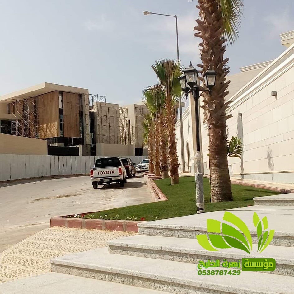 تنسيق حدائق,تنسيق حدائق نجيل,افضل شركة تنسيق حدائق,تنسيق حدائق رسم هندسي,تصميم وتنسيق حدائق,بستنة وتنسيق حدائق,زراعة وتنسيق حدائق,مشاتل وتنسيق حدائق,شلالات وتنسيق حدائق,ديكورات وتنسيق حدائق,لاند سكيب وتنسيق حدائق,عشب صناعي وتنسيق حدائق,تصميم شلالات وتنسيق حدائق,تنسق حدائق الدمام,تنسيق حدائق منزلية,محل تنسيق حدائق في جدة ومكة,محلات تنسيق حدائق جدة ومكة,فني وتنسيق الحدائق,تنسيق حدائق جدة,محلات تنسيق حدائق جدة ومكة,محل تنسيق حدائق في جدة ومكة,شركة تنسيق حدائق,تنسيق حدائق الرياض,تنسيق حدائق,شركة تنسيق حدائق بالرياض,تنسيق حدائق منزلية,حدائق,شركة تنسيق حدائق,تنسيق حدائق في الرياض,تنسيق حدائق الرياض الرياض,تنسيق حدائق بالرياض,الرياض,افضل شركة تنسيق حدائق بالرياض,تنسيق,منسق حدائق الرياض,تنسيق حدائق الخبر,تنسيق حدائق الدمام,تنسيق حدائق ابها,تنسيق حدائق السعودية,تنسيق الحدائق,تنسيق حدائق فلل,تصميم حدائق الرياض,افكار تنسيق حدائق,تنسيق حدائق نجران,تنسيق حدائق بنجران,افضل شركة تنسيق حدائق,تنسيق حدائق خميس مشيط,تنسيق حدائق خميس,تنسيق حدائق خميس مشيط وابها,تنسيق حدائق ابها وخميس مشيط,شركه تنسيق حدائق خميس مشيط,شركة تنسيق حد