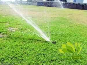 تنسيق حدائق,تنسيق حدائق نجيل,افضل شركة تنسيق حدائق,تنسيق حدائق رسم هندسي,تصميم وتنسيق حدائق,بستنة وتنسيق حدائق,زراعة وتنسيق حدائق,مشاتل وتنسيق حدائق,شلالات وتنسيق حدائق,ديكورات وتنسيق حدائق,لاند سكيب وتنسيق حدائق,عشب صناعي وتنسيق حدائق,تصميم شلالات وتنسيق حدائق,تنسق حدائق الدمام,تنسيق حدائق منزلية,محل تنسيق حدائق في جدة ومكة,محلات تنسيق حدائق جدة ومكة,فني وتنسيق الحدائق,تنسيق حدائق جدة,محلات تنسيق حدائق جدة ومكة,محل تنسيق حدائق في جدة ومكة,شركة تنسيق حدائق,تنسيق حدائق الرياض,تنسيق حدائق,شركة تنسيق حدائق بالرياض,تنسيق حدائق منزلية,حدائق,شركة تنسيق حدائق,تنسيق حدائق في الرياض,تنسيق حدائق الرياض الرياض,تنسيق حدائق بالرياض,الرياض,افضل شركة تنسيق حدائق بالرياض,تنسيق,منسق حدائق الرياض,تنسيق حدائق الخبر,تنسيق حدائق الدمام,تنسيق حدائق ابها,تنسيق حدائق السعودية,تنسيق الحدائق,تنسيق حدائق فلل,تصميم حدائق الرياض,افكار تنسيق حدائق,تنسيق حدائق نجران,تنسيق حدائق بنجران,افضل شركة تنسيق حدائق,تنسيق حدائق خميس مشيط,تنسيق حدائق خميس,تنسيق حدائق خميس مشيط وابها,تنسيق حدائق ابها وخميس مشيط,شركه تنسيق حدائق خميس مشيط,شركة تنسيق حد