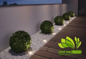 تنسيق حدائق,تنسيق حدائق نجيل,افضل شركة تنسيق حدائق,تنسيق حدائق رسم هندسي,تصميم وتنسيق حدائق,بستنة وتنسيق حدائق,زراعة وتنسيق حدائق,مشاتل وتنسيق حدائق,شلالات وتنسيق حدائق,ديكورات وتنسيق حدائق,لاند سكيب وتنسيق حدائق,عشب صناعي وتنسيق حدائق,تصميم شلالات وتنسيق حدائق,تنسق حدائق الدمام,تنسيق حدائق منزلية,محل تنسيق حدائق في جدة ومكة,محلات تنسيق حدائق جدة ومكة,فني وتنسيق الحدائق,تنسيق حدائق جدة,محلات تنسيق حدائق جدة ومكة,محل تنسيق حدائق في جدة ومكة,شركة تنسيق حدائق,تنسيق حدائق الرياض,تنسيق حدائق,شركة تنسيق حدائق بالرياض,تنسيق حدائق منزلية,حدائق,شركة تنسيق حدائق,تنسيق حدائق في الرياض,تنسيق حدائق الرياض الرياض,تنسيق حدائق بالرياض,الرياض,افضل شركة تنسيق حدائق بالرياض,تنسيق,منسق حدائق الرياض,تنسيق حدائق الخبر,تنسيق حدائق الدمام,تنسيق حدائق ابها,تنسيق حدائق السعودية,تنسيق الحدائق,تنسيق حدائق فلل,تصميم حدائق الرياض,افكار تنسيق حدائق,تنسيق حدائق نجران,تنسيق حدائق بنجران,افضل شركة تنسيق حدائق,تنسيق حدائق خميس مشيط,تنسيق حدائق خميس,تنسيق حدائق خميس مشيط وابها,تنسيق حدائق ابها وخميس مشيط,شركه تنسيق حدائق خميس مشيط,شركة تنسيق حد