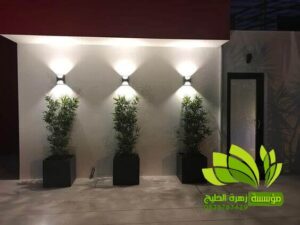 تنسيق حدائق,تنسيق حدائق نجيل,افضل شركة تنسيق حدائق,تنسيق حدائق رسم هندسي,تصميم وتنسيق حدائق,بستنة وتنسيق حدائق,زراعة وتنسيق حدائق,مشاتل وتنسيق حدائق,شلالات وتنسيق حدائق,ديكورات وتنسيق حدائق,لاند سكيب وتنسيق حدائق,عشب صناعي وتنسيق حدائق,تصميم شلالات وتنسيق حدائق,تنسق حدائق الدمام,تنسيق حدائق منزلية,محل تنسيق حدائق في جدة ومكة,محلات تنسيق حدائق جدة ومكة,فني وتنسيق الحدائق,تنسيق حدائق جدة,محلات تنسيق حدائق جدة ومكة,محل تنسيق حدائق في جدة ومكة,شركة تنسيق حدائق,تنسيق حدائق الرياض,تنسيق حدائق,شركة تنسيق حدائق بالرياض,تنسيق حدائق منزلية,حدائق,شركة تنسيق حدائق,تنسيق حدائق في الرياض,تنسيق حدائق الرياض الرياض,تنسيق حدائق بالرياض,الرياض,افضل شركة تنسيق حدائق بالرياض,تنسيق,منسق حدائق الرياض,تنسيق حدائق الخبر,تنسيق حدائق الدمام,تنسيق حدائق ابها,تنسيق حدائق السعودية,تنسيق الحدائق,تنسيق حدائق فلل,تصميم حدائق الرياض,افكار تنسيق حدائق,تنسيق حدائق نجران,تنسيق حدائق بنجران,افضل شركة تنسيق حدائق,تنسيق حدائق خميس مشيط,تنسيق حدائق خميس,تنسيق حدائق خميس مشيط وابها,تنسيق حدائق ابها وخميس مشيط,شركه تنسيق حدائق خميس مشيط,شركة تنسيق حد