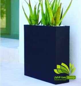 تنسيق حدائق,تنسيق حدائق نجيل,افضل شركة تنسيق حدائق,تنسيق حدائق رسم هندسي,تصميم وتنسيق حدائق,بستنة وتنسيق حدائق,زراعة وتنسيق حدائق,مشاتل وتنسيق حدائق,شلالات وتنسيق حدائق,ديكورات وتنسيق حدائق,لاند سكيب وتنسيق حدائق,عشب صناعي وتنسيق حدائق,تصميم شلالات وتنسيق حدائق,تنسق حدائق الدمام,تنسيق حدائق منزلية,محل تنسيق حدائق في جدة ومكة,محلات تنسيق حدائق جدة ومكة,فني وتنسيق الحدائق,تنسيق حدائق جدة,محلات تنسيق حدائق جدة ومكة,محل تنسيق حدائق في جدة ومكة,شركة تنسيق حدائق,تنسيق حدائق الرياض,تنسيق حدائق,شركة تنسيق حدائق بالرياض,تنسيق حدائق منزلية,حدائق,شركة تنسيق حدائق,تنسيق حدائق في الرياض,تنسيق حدائق الرياض الرياض,تنسيق حدائق بالرياض,الرياض,افضل شركة تنسيق حدائق بالرياض,تنسيق,منسق حدائق الرياض,تنسيق حدائق الخبر,تنسيق حدائق الدمام,تنسيق حدائق ابها,تنسيق حدائق السعودية,تنسيق الحدائق,تنسيق حدائق فلل,تصميم حدائق الرياض,افكار تنسيق حدائق,تنسيق حدائق نجران,تنسيق حدائق بنجران,افضل شركة تنسيق حدائق,تنسيق حدائق خميس مشيط,تنسيق حدائق خميس,تنسيق حدائق خميس مشيط وابها,تنسيق حدائق ابها وخميس مشيط,شركه تنسيق حدائق خميس مشيط,شركة تنسيق حد