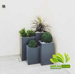 تنسيق حدائق,تنسيق حدائق نجيل,افضل شركة تنسيق حدائق,تنسيق حدائق رسم هندسي,تصميم وتنسيق حدائق,بستنة وتنسيق حدائق,زراعة وتنسيق حدائق,مشاتل وتنسيق حدائق,شلالات وتنسيق حدائق,ديكورات وتنسيق حدائق,لاند سكيب وتنسيق حدائق,عشب صناعي وتنسيق حدائق,تصميم شلالات وتنسيق حدائق,تنسق حدائق الدمام,تنسيق حدائق منزلية,محل تنسيق حدائق في جدة ومكة,محلات تنسيق حدائق جدة ومكة,فني وتنسيق الحدائق,تنسيق حدائق جدة,محلات تنسيق حدائق جدة ومكة,محل تنسيق حدائق في جدة ومكة,شركة تنسيق حدائق,تنسيق حدائق الرياض,تنسيق حدائق,شركة تنسيق حدائق بالرياض,تنسيق حدائق منزلية,حدائق,شركة تنسيق حدائق,تنسيق حدائق في الرياض,تنسيق حدائق الرياض الرياض,تنسيق حدائق بالرياض,الرياض,افضل شركة تنسيق حدائق بالرياض,تنسيق,منسق حدائق الرياض,تنسيق حدائق الخبر,تنسيق حدائق الدمام,تنسيق حدائق ابها,تنسيق حدائق السعودية,تنسيق الحدائق,تنسيق حدائق فلل,تصميم حدائق الرياض,افكار تنسيق حدائق,تنسيق حدائق نجران,تنسيق حدائق بنجران,افضل شركة تنسيق حدائق,تنسيق حدائق خميس مشيط,تنسيق حدائق خميس,تنسيق حدائق خميس مشيط وابها,تنسيق حدائق ابها وخميس مشيط,شركه تنسيق حدائق خميس مشيط,شركة تنسيق حد