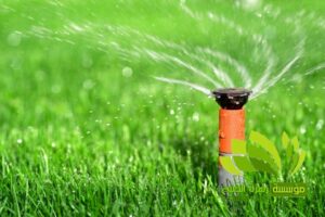 تنسيق حدائق,تنسيق حدائق نجيل,افضل شركة تنسيق حدائق,تنسيق حدائق رسم هندسي,تصميم وتنسيق حدائق,بستنة وتنسيق حدائق,زراعة وتنسيق حدائق,مشاتل وتنسيق حدائق,شلالات وتنسيق حدائق,ديكورات وتنسيق حدائق,لاند سكيب وتنسيق حدائق,عشب صناعي وتنسيق حدائق,تصميم شلالات وتنسيق حدائق,تنسق حدائق الدمام,تنسيق حدائق منزلية,محل تنسيق حدائق في جدة ومكة,محلات تنسيق حدائق جدة ومكة,فني وتنسيق الحدائق,تنسيق حدائق جدة,محلات تنسيق حدائق جدة ومكة,محل تنسيق حدائق في جدة ومكة,شركة تنسيق حدائق,تنسيق حدائق الرياض,تنسيق حدائق,شركة تنسيق حدائق بالرياض,تنسيق حدائق منزلية,حدائق,شركة تنسيق حدائق,تنسيق حدائق في الرياض,تنسيق حدائق الرياض الرياض,تنسيق حدائق بالرياض,الرياض,افضل شركة تنسيق حدائق بالرياض,تنسيق,منسق حدائق الرياض,تنسيق حدائق الخبر,تنسيق حدائق الدمام,تنسيق حدائق ابها,تنسيق حدائق السعودية,تنسيق الحدائق,تنسيق حدائق فلل,تصميم حدائق الرياض,افكار تنسيق حدائق,تنسيق حدائق نجران,تنسيق حدائق بنجران,افضل شركة تنسيق حدائق,تنسيق حدائق خميس مشيط,تنسيق حدائق خميس,تنسيق حدائق خميس مشيط وابها,تنسيق حدائق ابها وخميس مشيط,شركه تنسيق حدائق خميس مشيط,شركة تنسيق حد