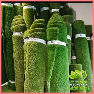 تنسيق حدائق المنزل