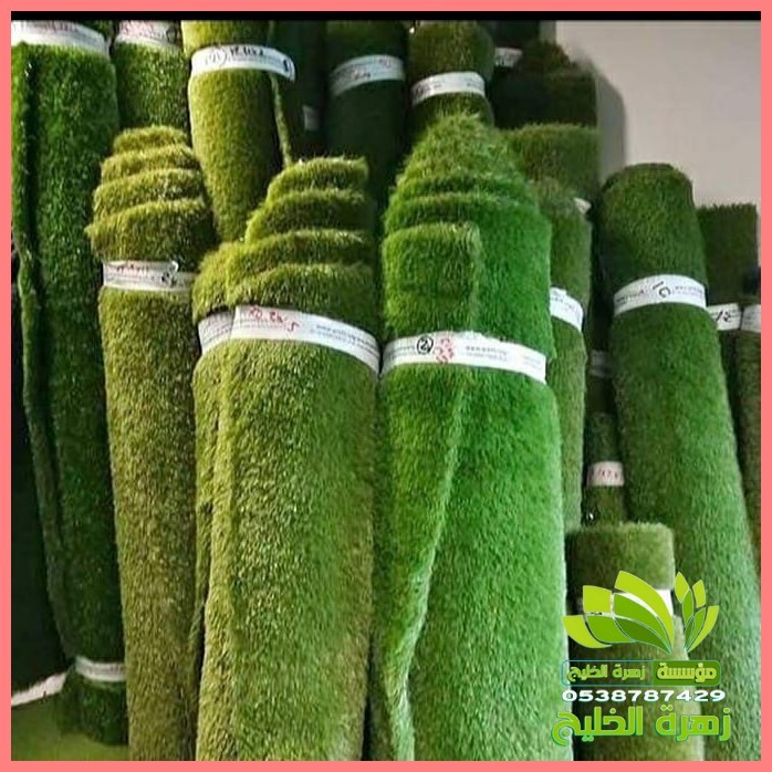 تنسيق حدائق المنزل