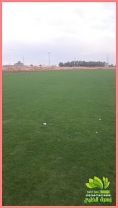 غرس العشب الطبيعي