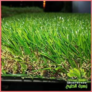 تنسيق حدائق جدة انستقرام