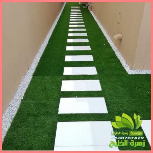 عشب صناعى وممرات