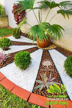 شركات تنسيق حي الخضرة