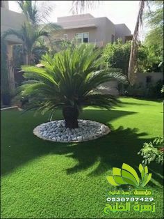 افضل شركة تنسيق حدائق حدة