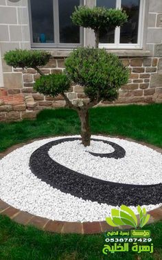 فى تنسيق حدائق حدة