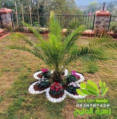 ارخص شركة تنسيق حدائق حدة