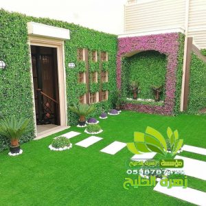 انواع العشب الجداري