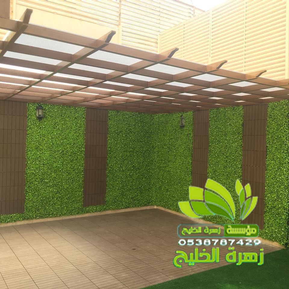 عشب جدار بالصفا